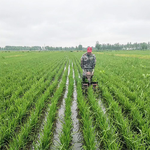 Rice Field Weeding Machine Price