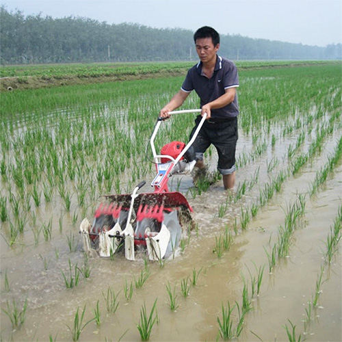 Rice Field Weeding Machine Price