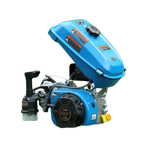 Small Portable Gasoline Engine Factory Price