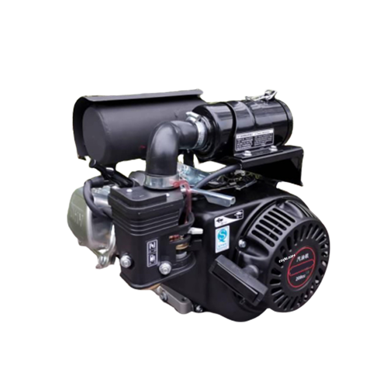 Hot Sale Chalion Gasoline Engine Reasonable Price